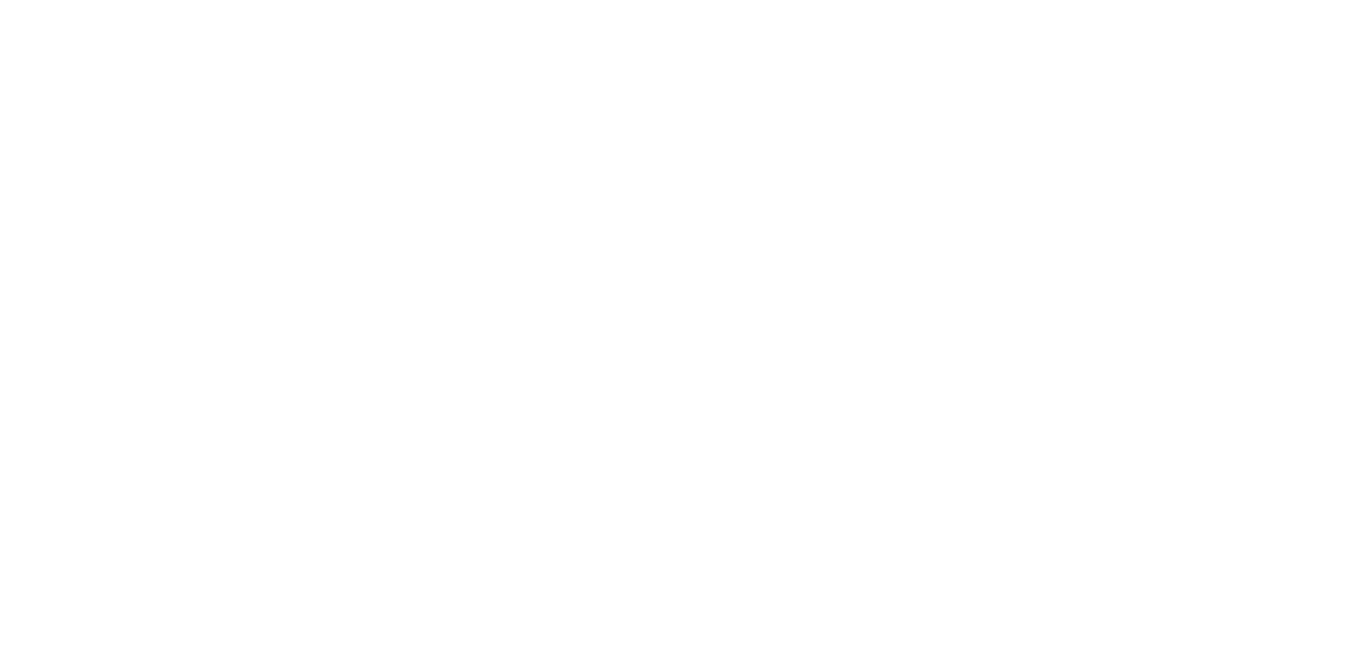 Rook Quality Systems